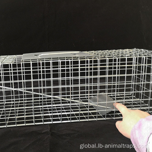 Squirrel Trap Cage Chipmunks Cage Traps 2.0mm Wire Diameter Stainless Supplier